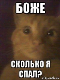 боже сколько я спал?