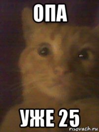 опа уже 25