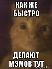 как же быстро делают мэмов тут