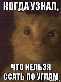 когда узнал, что нельзя ссать по углам