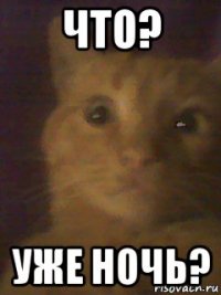 что? уже ночь?