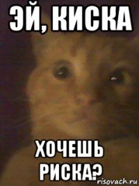 эй, киска хочешь риска?
