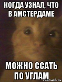 когда узнал, что в амстердаме можно ссать по углам