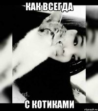 как всегда с котиками