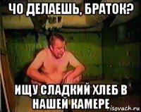 чо делаешь, браток? ищу сладкий хлеб в нашей камере