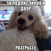 за подписчиков и двор разгрызу