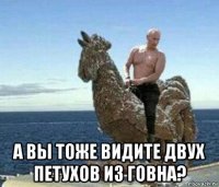  а вы тоже видите двух петухов из говна?