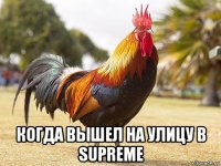  когда вышел на улицу в supreme