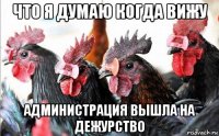 что я думаю когда вижу администрация вышла на дежурство