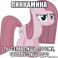 пинкамина ты серая лишь потому, что грустишь да?