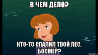 в чем дело? кто-то спалил твой лес, босмер?
