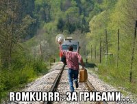  romkurrr . за грибами . .