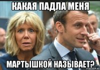 какая падла меня мартышкой называет?