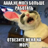 аааа,не могу больше работать отвезите меня на море