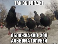 так выглядит обложка хип- хоп альбома голубей