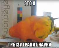 это я грызу гранит науки