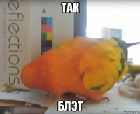 так блэт