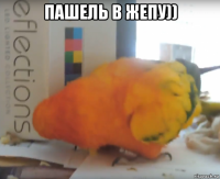 пашель в жепу)) 