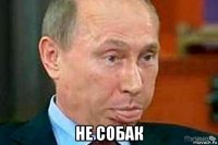  не собак