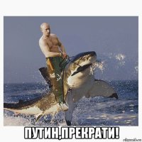  путин,прекрати!