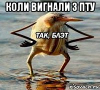 коли вигнали з пту 