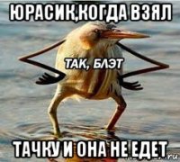 юрасик,когда взял тачку и она не едет