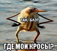  где мои кросы?