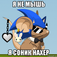 я не мышь я соник нахер