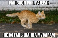 ран вася ран ,ран,ран не оставь шанса мусарам