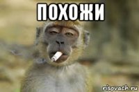 похожи 