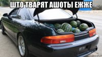 што тварят ашоты ежже 