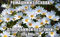 ромашки из пскова для любимой подружки, ульяны!!!