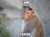 сам такой