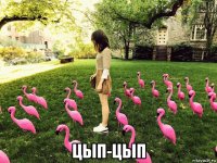  цып-цып