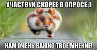 участвуй скорее в опросе;) нам очень важно твое мнение!