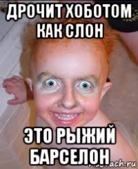 дрочит хоботом как слон это рыжий барселон