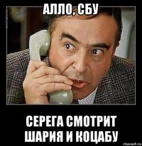 алло, сбу серега смотрит шария и коцабу