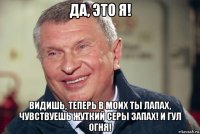 да, это я! видишь, теперь в моих ты лапах, чувствуешь жуткий серы запах! и гул огня!