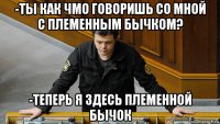 -ты как чмо говоришь со мной с племенным бычком? -теперь я здесь племенной бычок