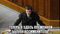  -теперь я здесь племенной бычок ассименитель