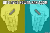 што лучэ ношпа или адэм 