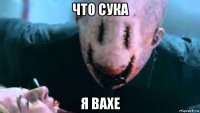 что сука я вахе