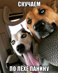 скучаем по лёхе панину