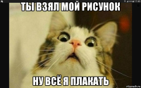 ты взял мой рисунок ну всё я плакать