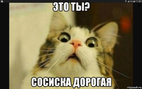 это ты? сосиска дорогая