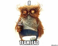 я teamlead