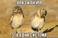 ппоз и пкурп это одна система