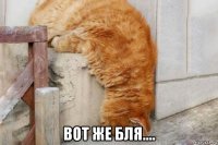  вот же бля....