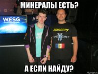 минералы есть? а если найду?
