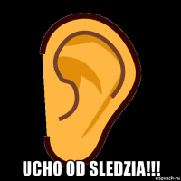  ucho od sledzia!!!